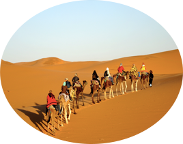 camel-trekking