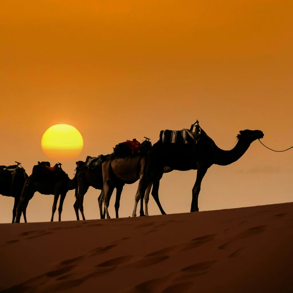 merzouga