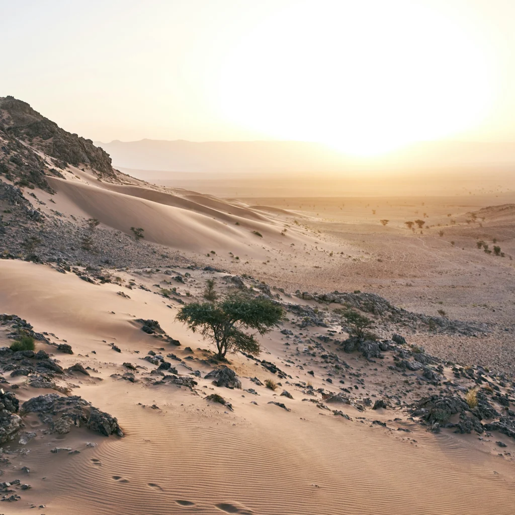 zagora dunes